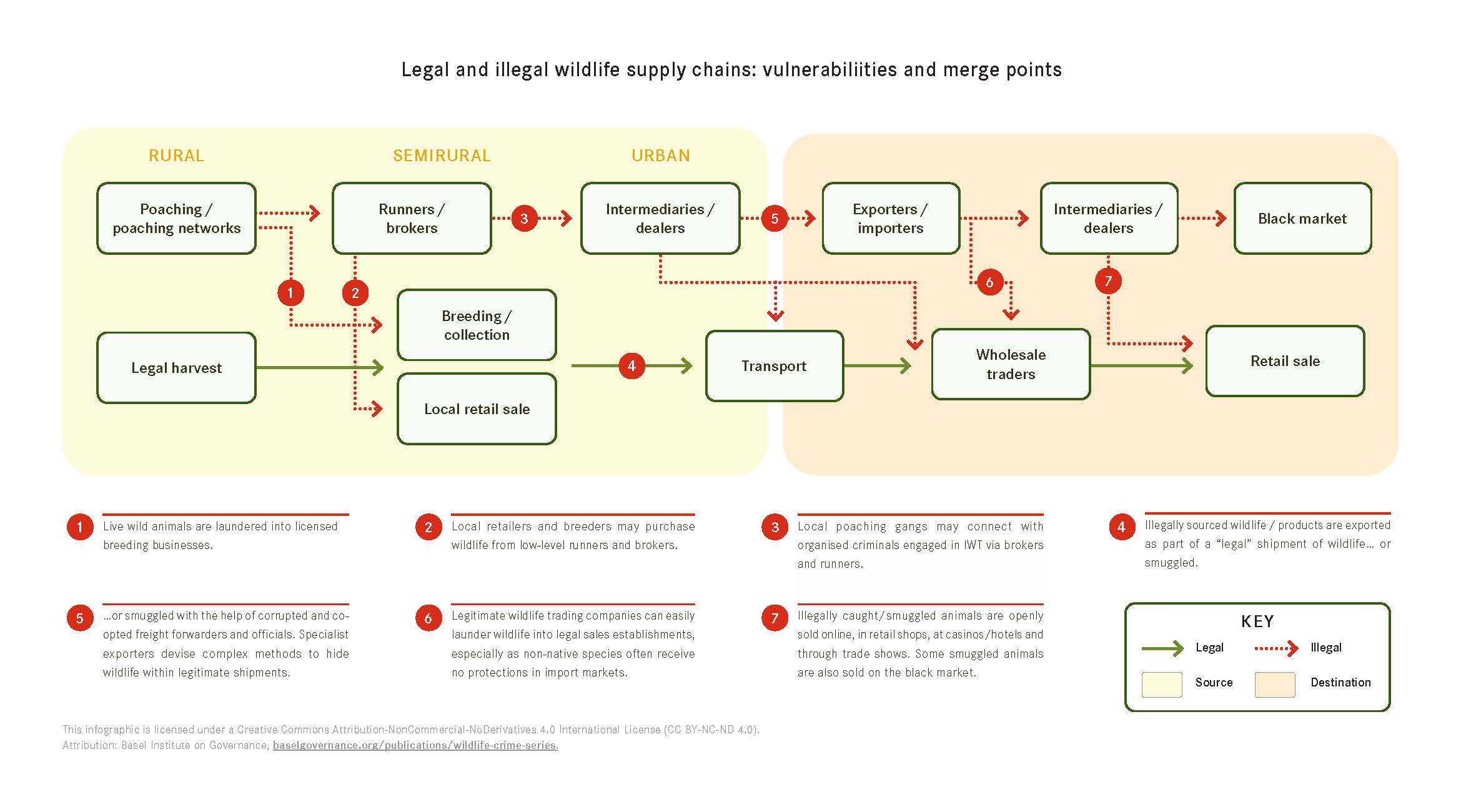 Kurss: Illegal Wildlife Trade And Financial Crime